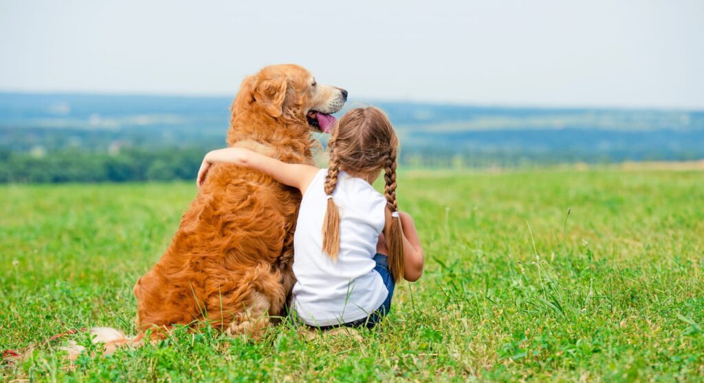 consejos para cuidar tus mascotas