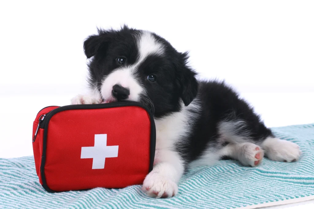 Emergencias Veterinarias