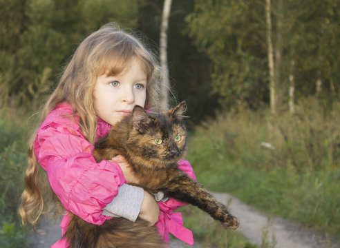 por que mi gato ronronea, linda pequeña alzando su gata