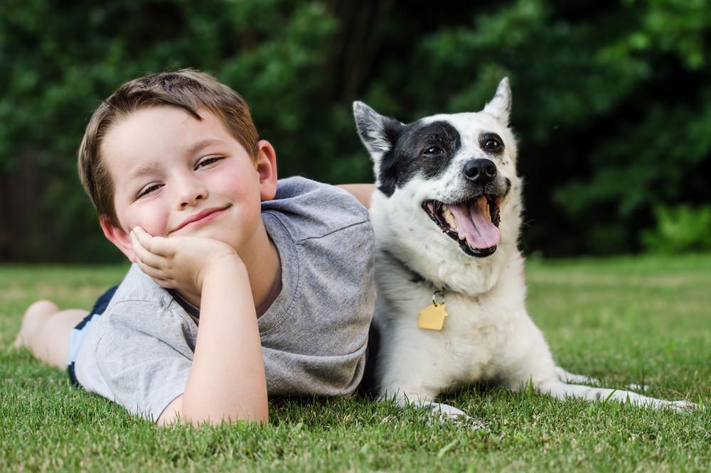 Beneficios de tener una mascota en casa