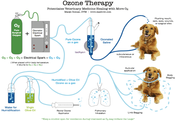 ozonioterapia