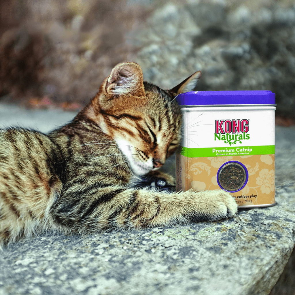 KONG - Naturals Premium Catnip - Hierba gatera de cultivo