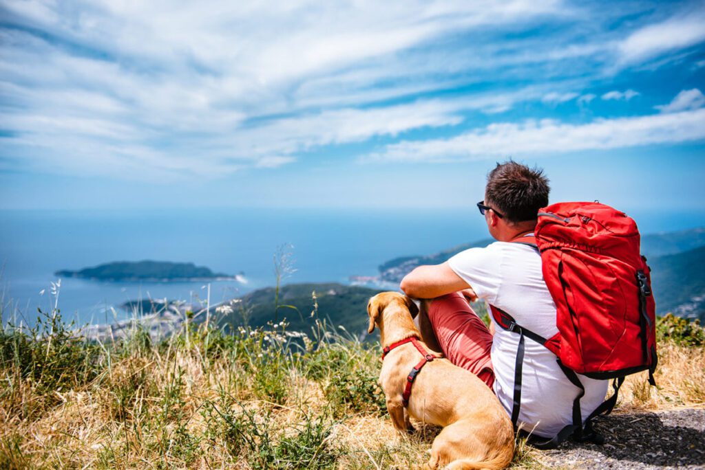 vemos la imagen de un tutor y su perrito sentados en el topo de una montaña