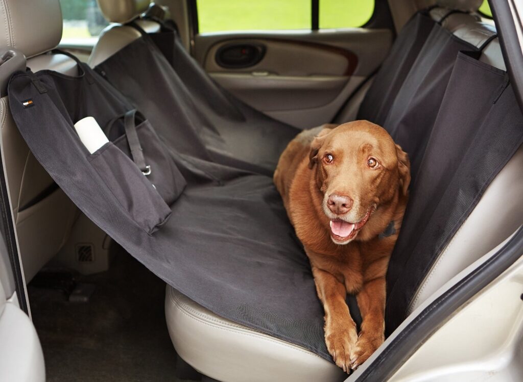 lindo perro viajando en coche en el asiento de atras