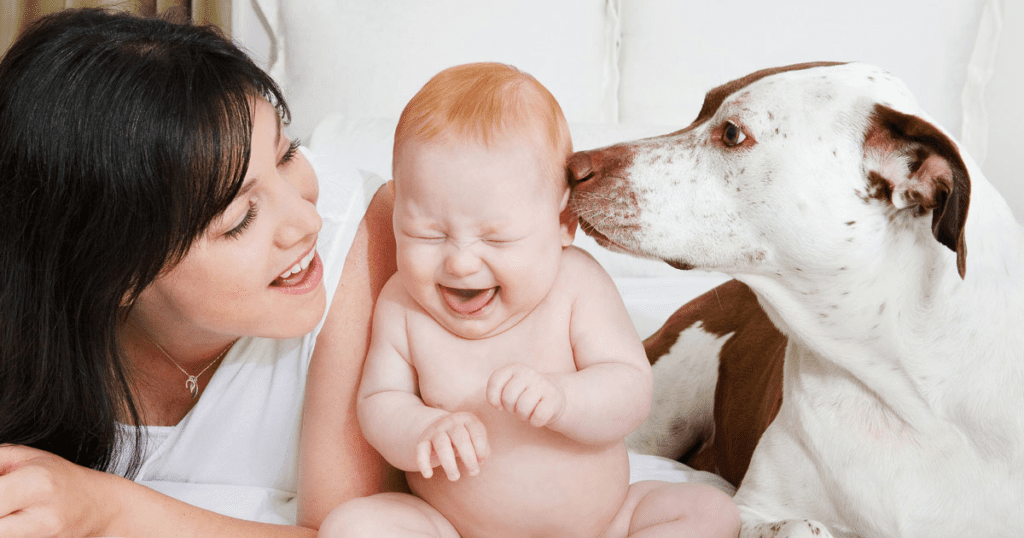 imagen de un bebe nuevo en casa y un lindo perro lambiendo su carita 