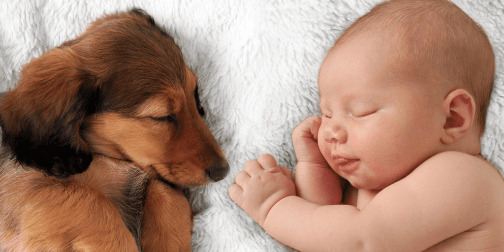 bebe durmiendo con un perrito 