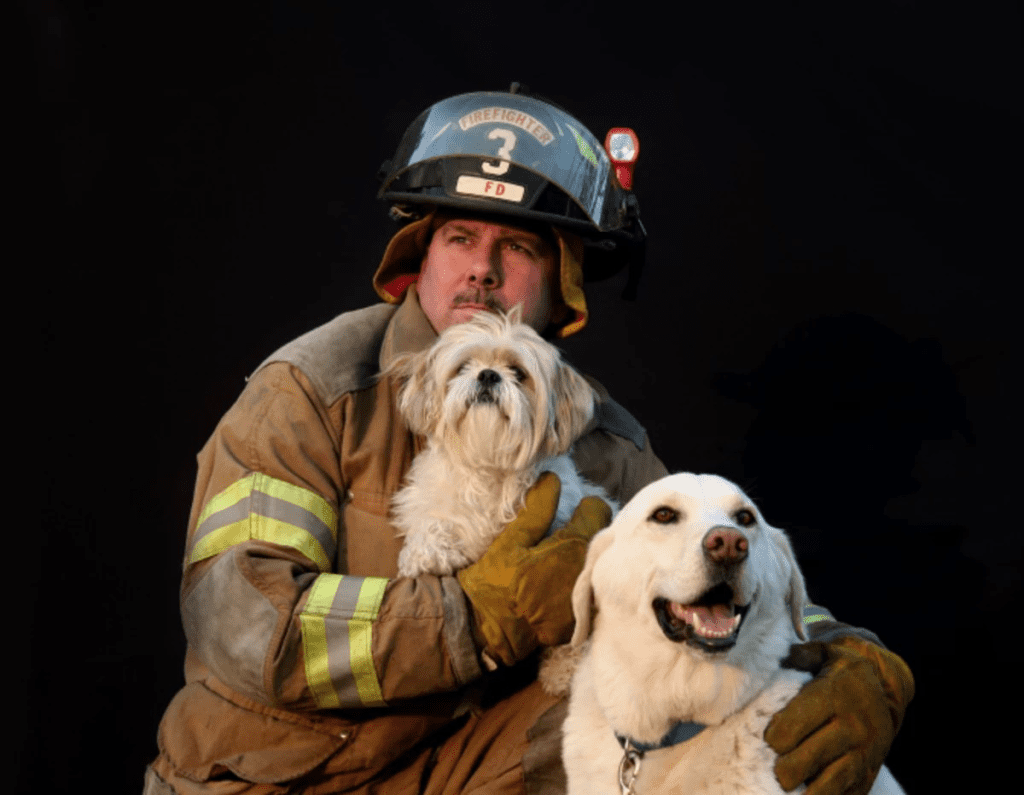 imagen muestra un bombero y 2 perros